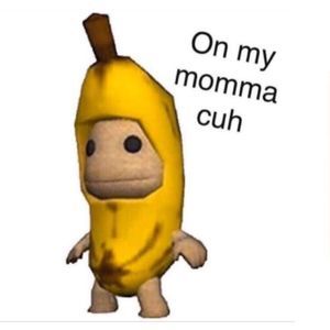 Meet your Posher, America